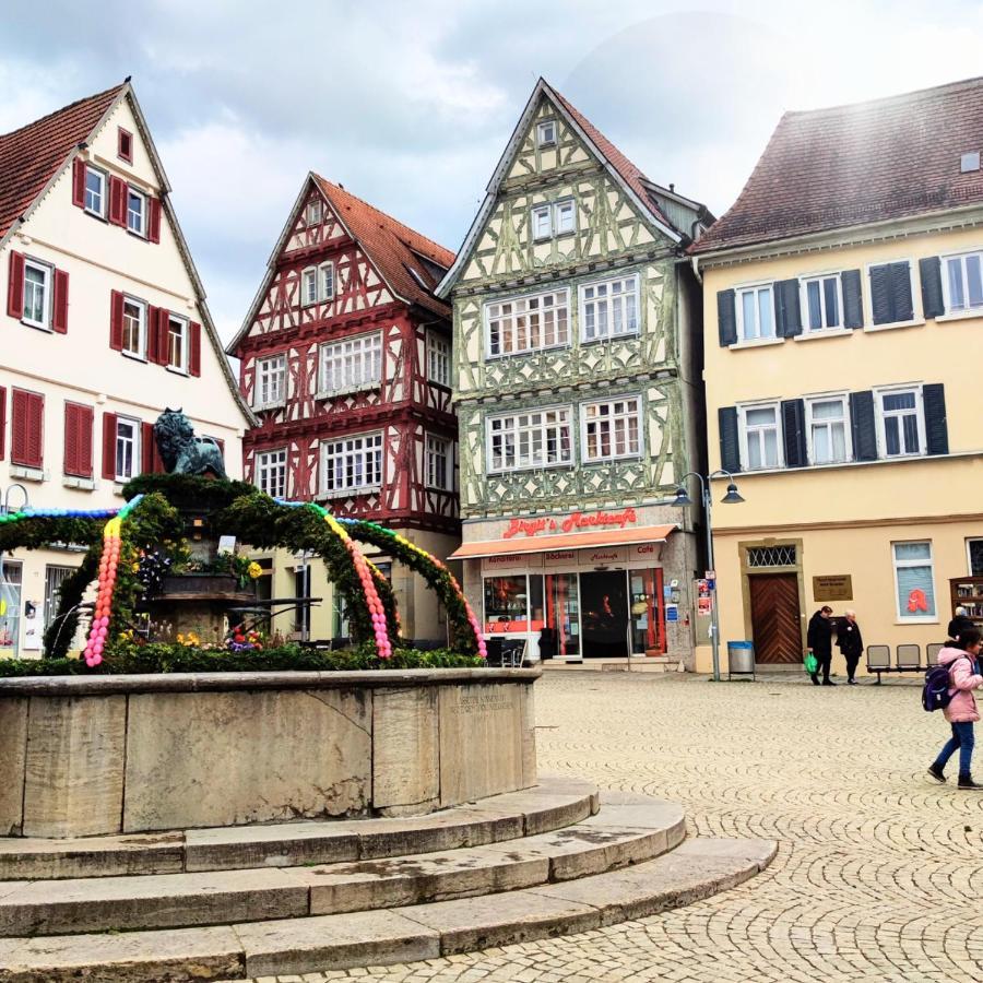 Im Herzen Der Altstadt Vaihingen an der Enz Exteriör bild